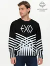 Мужской лонгслив базовый / EXO (P007_P004ooo1960409, P004ooo1960409)