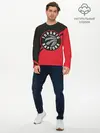 Мужской лонгслив базовый / Toronto Raptors BR (P007_P004ooo1961291, P004ooo1961291)