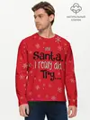 Мужской лонгслив базовый / Dear Santa (P007_P004ooo1962299, P004ooo1962299)