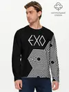 Мужской лонгслив базовый / EXO (P007_P004ooo1968455, P004ooo1968455)