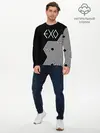 Мужской лонгслив базовый / EXO (P007_P004ooo1968455, P004ooo1968455)