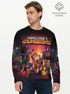 Мужской лонгслив базовый / Minecraft Dungeons (P007_P004ooo1980337, P004ooo1980337)