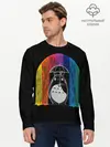 Мужской лонгслив базовый / My Neighbor Totoro радужный дождь (P007_P004ooo1986277, P004ooo1986277)