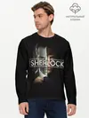 Мужской лонгслив базовый / Sherlock (P007_P004ooo1987943, P004ooo1987943)
