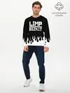 Мужской лонгслив базовый / Limp Bizkit (P007_P004ooo1996561, P004ooo1996561)