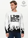 Мужской лонгслив базовый / Limp Bizkit (P007_P004ooo1996591, P004ooo1996591)