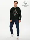 Мужской лонгслив базовый / Panic at the disco (P007_P004ooo2000185, P004ooo2000185)