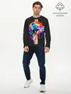 Мужской лонгслив базовый / Мой маленький пони (P007_P004ooo2003899, P004ooo2003899)