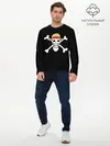 Мужской лонгслив базовый / вытянутый череп One Piece (P007_P004ooo2004821, P004ooo2004821)