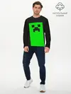 Мужской лонгслив базовый / MINECRAFT (P007_P004ooo2006059, P004ooo2006059)