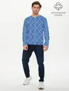Мужской лонгслив базовый / Славянский орнамент (P007_P004ooo2017083, P004ooo2017083)