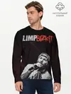 Мужской лонгслив базовый / Limp Bizkit (P007_P004ooo2020777, P004ooo2020777)