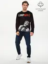 Мужской лонгслив базовый / Limp Bizkit (P007_P004ooo2020777, P004ooo2020777)