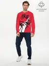 Мужской лонгслив базовый / Taekwondo (P007_P004ooo2025957, P004ooo2025957)
