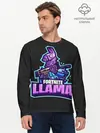 Мужской лонгслив базовый / Fortnite LLAMA (P007_P004ooo2022981, P004ooo2022981)