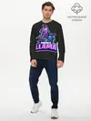 Мужской лонгслив базовый / Fortnite LLAMA (P007_P004ooo2022981, P004ooo2022981)