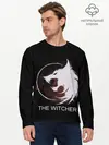 Мужской лонгслив базовый / The Witcher (P007_P004ooo2030319, P004ooo2030319)