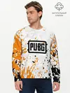 Мужской лонгслив базовый / PUBG (P007_P004ooo2029211, P004ooo2029211)