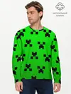 Мужской лонгслив базовый / MINECRAFT (P007_P004ooo2033915, P004ooo2033915)