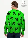 Мужской лонгслив базовый / MINECRAFT (P007_P004ooo2033915, P004ooo2033915)