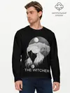 Мужской лонгслив базовый / The Witcher (P007_P004ooo2043153, P004ooo2043153)