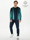 Мужской лонгслив базовый / текстура (P007_P004ooo2043993, P004ooo2043993)