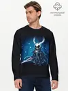 Мужской лонгслив базовый / Hollow Knight (P007_P004ooo2053395, P004ooo2053395)