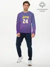 Мужской лонгслив базовый / Los Angeles Lakers / Kobe Brya (P007_P004ooo2059063, P004ooo2059063)