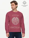 Мужской лонгслив базовый / Паспорт Советского Союза (P007_P004ooo2065769, P004ooo2065769)