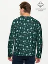 Мужской лонгслив базовый / Bowtruckle (P007_P004ooo2067679, P004ooo2067679)