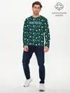 Мужской лонгслив базовый / Bowtruckle (P007_P004ooo2067679, P004ooo2067679)