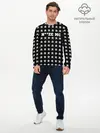 Мужской лонгслив базовый / Noize MC (P007_P004ooo2070361, P004ooo2070361)