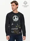 Мужской лонгслив базовый / Полный поПАНДос (P007_P004ooo2072099, P004ooo2072099)