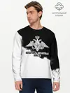 Мужской лонгслив базовый / Воздушно - десантные войска (P007_P004ooo2084435, P004ooo2084435)