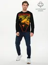 Мужской лонгслив базовый / Led Zeppelin (P007_P004ooo2092071, P004ooo2092071)