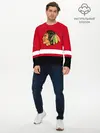 Мужской лонгслив базовый / Chicago Blackhawks (P007_P004ooo2108783, P004ooo2108783)