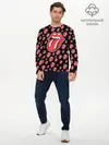 Мужской лонгслив базовый / rolling stones (P007_P004ooo2119225, P004ooo2119225)