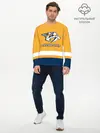 Мужской лонгслив базовый / Нэшвилл Предаторз (P007_P004ooo2126769, P004ooo2126769)