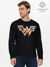 Мужской лонгслив базовый / Wonder Woman (P007_P004ooo2140771, P004ooo2140771)