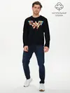 Мужской лонгслив базовый / Wonder Woman (P007_P004ooo2140771, P004ooo2140771)