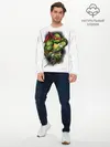 Мужской лонгслив базовый / Черепашки-ниндзя (P007_P004ooo2151415, P004ooo2151415)