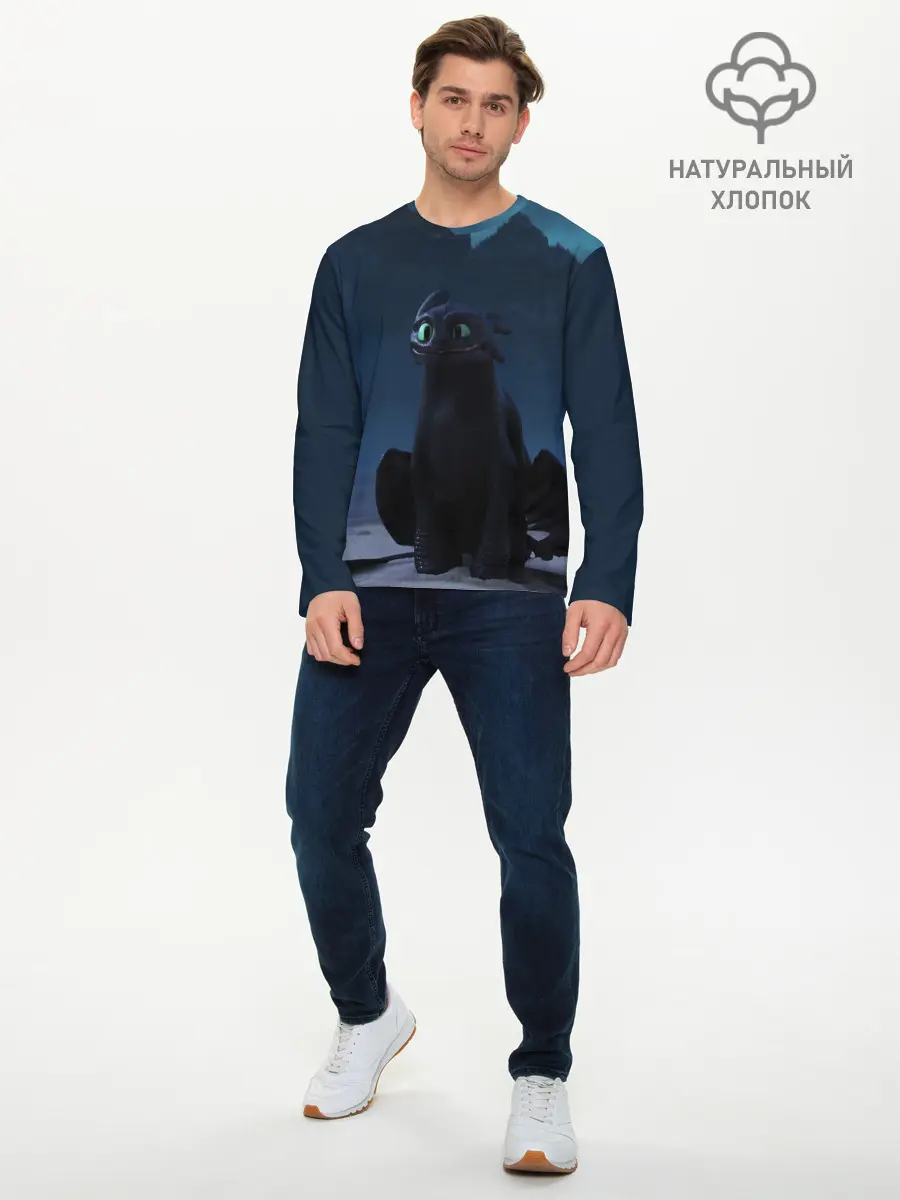 Мужской лонгслив базовый / Беззубик:Ночная Фурия (P007_P004ooo2162423, P004ooo2162423)