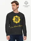 Мужской лонгслив базовый / FALLOUT_76. (P007_P004ooo2167477, P004ooo2167477)