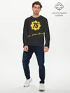 Мужской лонгслив базовый / FALLOUT_76. (P007_P004ooo2167477, P004ooo2167477)