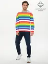 Мужской лонгслив базовый / Радужные полосы (P007_P004ooo2179117, P004ooo2179117)