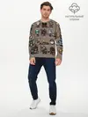 Мужской лонгслив базовый / Коры Доты 2 (P007_P004ooo2203753, P004ooo2203753)