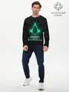 Мужской лонгслив базовый / ASSASSINS CREED VALHALLA (P007_P004ooo2213061, P004ooo2213061)