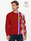 Мужской лонгслив базовый / Россия (P007_P004ooo2239083, P004ooo2239083)