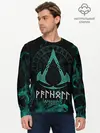 Мужской лонгслив базовый / Assassin’s Creed Valhalla (P007_P004ooo2302351, P004ooo2302351)