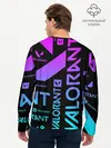 Мужской лонгслив базовый / Valorant (P007_P004ooo2356785, P004ooo2356785)